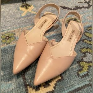 Zara Pointed Toe Nude Flats